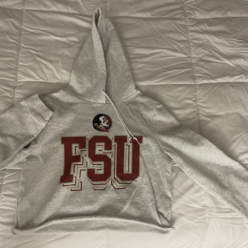 Gray FSU Logo Cropped Hoodie